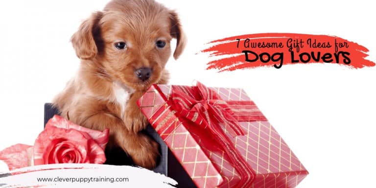 Gift-Ideas-for-Dog-Lovers