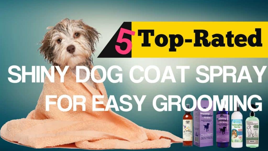 Shiny Dog Coat Spray
