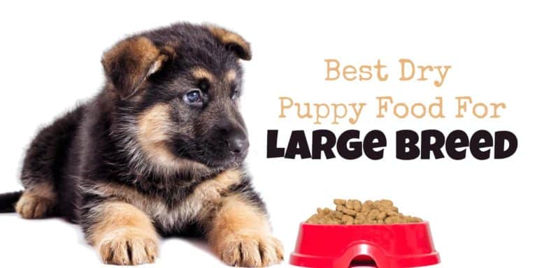 dry puppy food for large breed