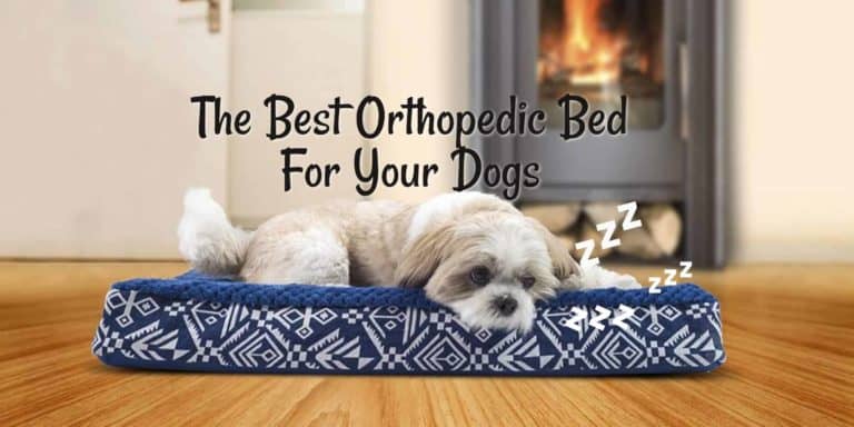 Orthopedic Bed For Your Dogs