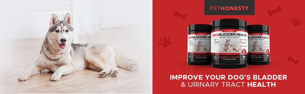 PetHonesty-cranberry-supplements-for-dogs