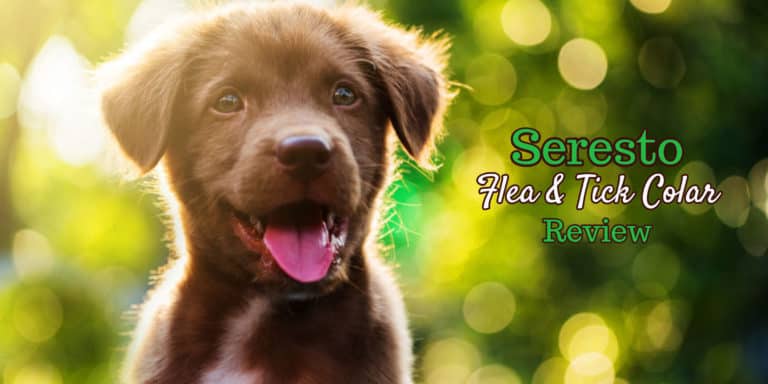 seresto-flea-collar-for-dogs-review