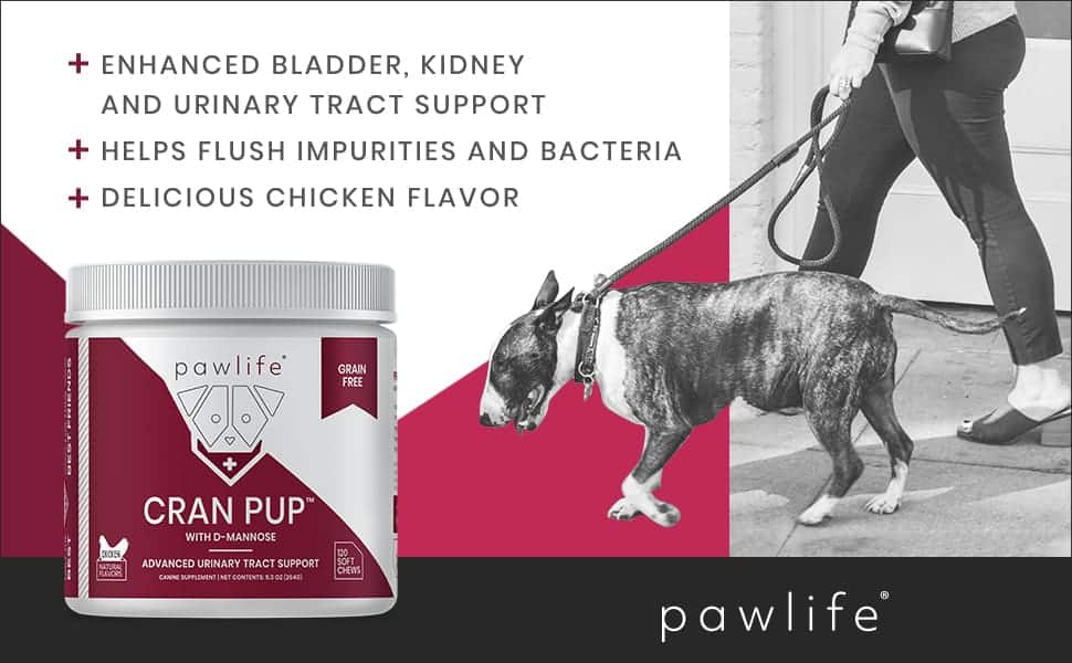 pawlife - UTI and Bladder Support for Dogs