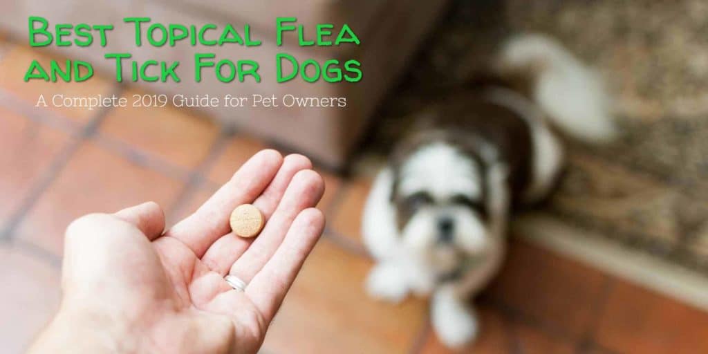 Best Topical Flea and Tick For Dogs