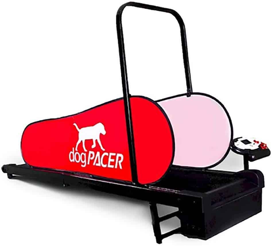 DogPacer best dog treadmill