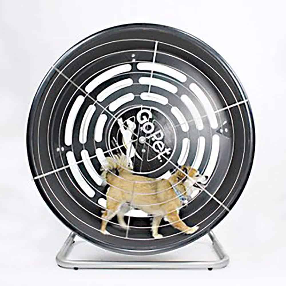 GoPet Wheel Tread - best dog treadmill