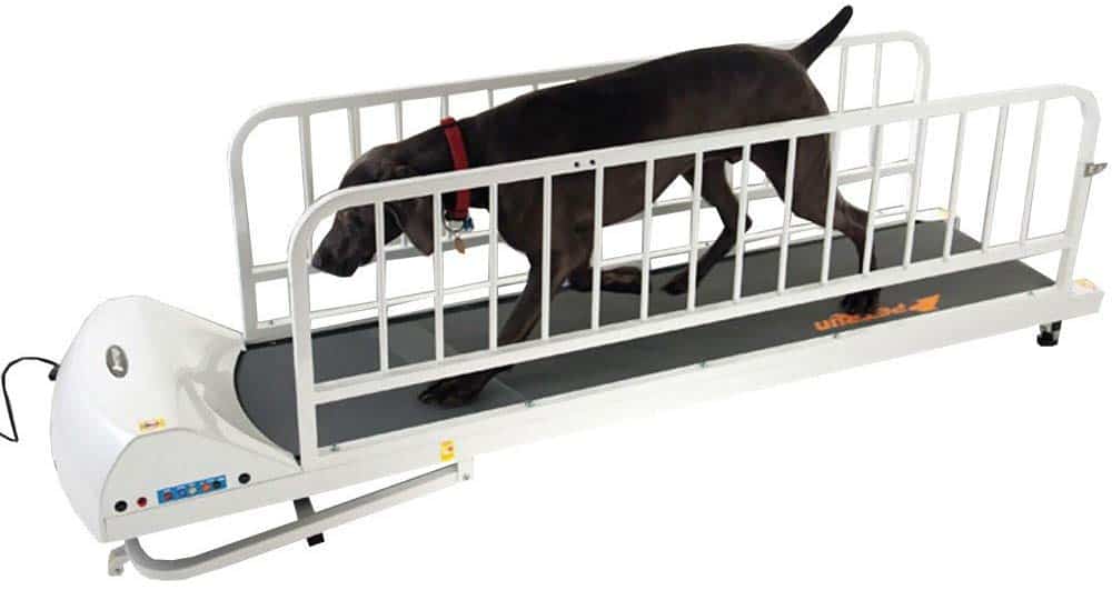 GoPet best dog treadmill