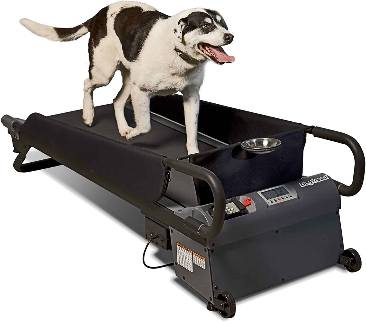 Best Dog Treadmill To Keep Your Dog Active Indoor