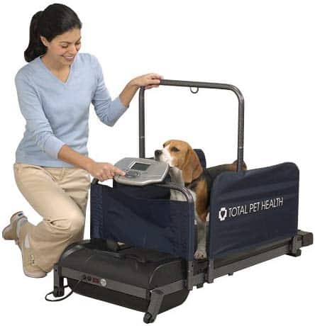 Total pet health treadmill