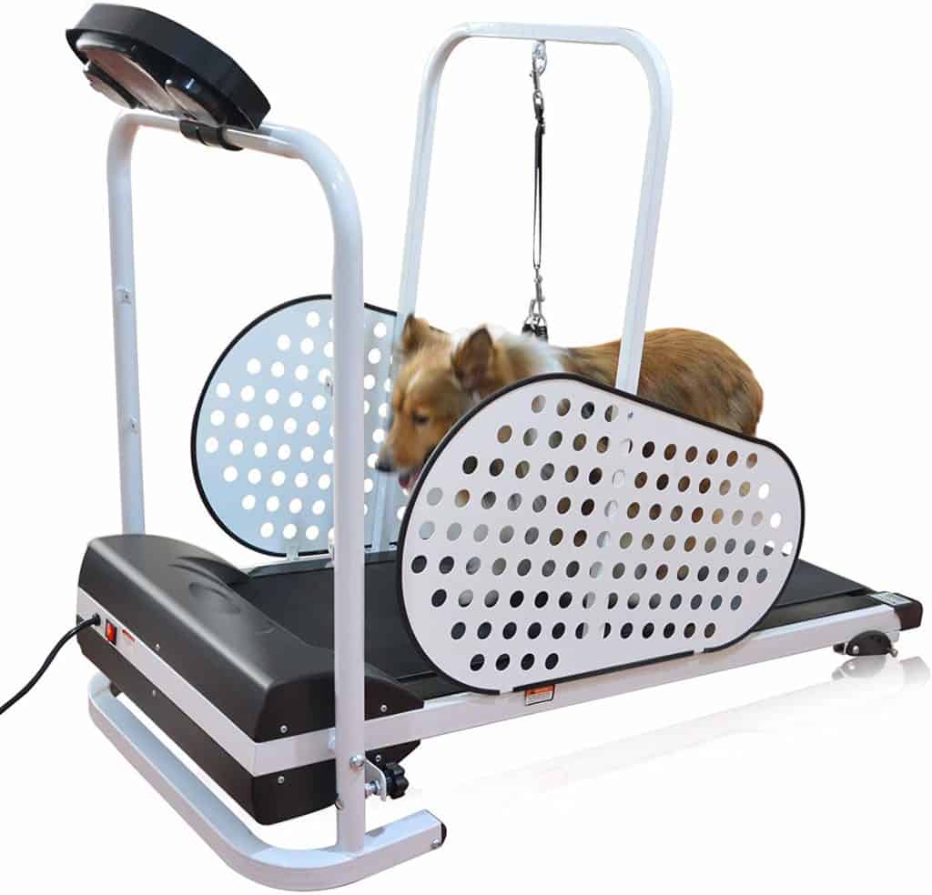 shelandy dog treadmill