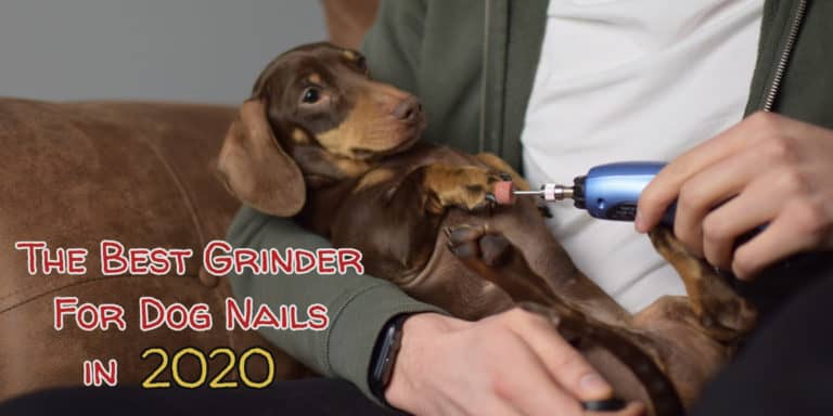 best-grinder-for-dog-nails