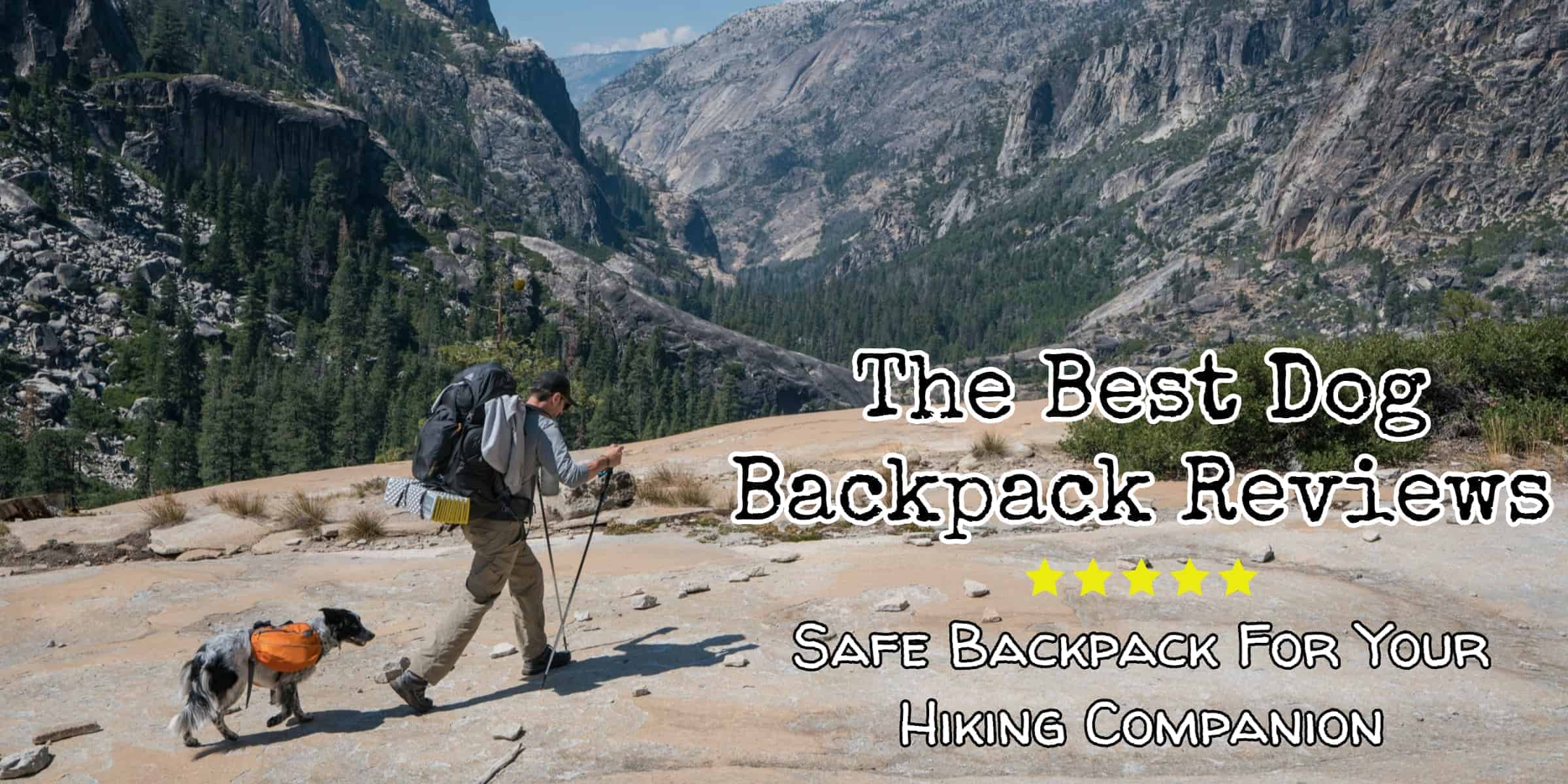 The Best Dog Backpack Reviews in 2020 CleverPuppyTraining