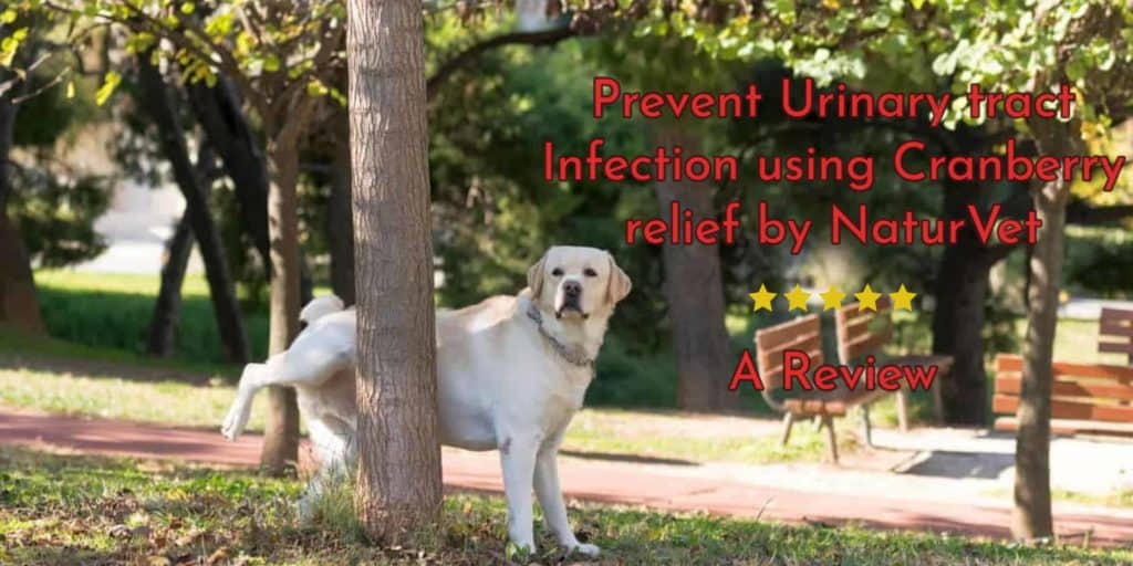 Prevent Urinary tract Infection using Cranberry relief by NaturVet
