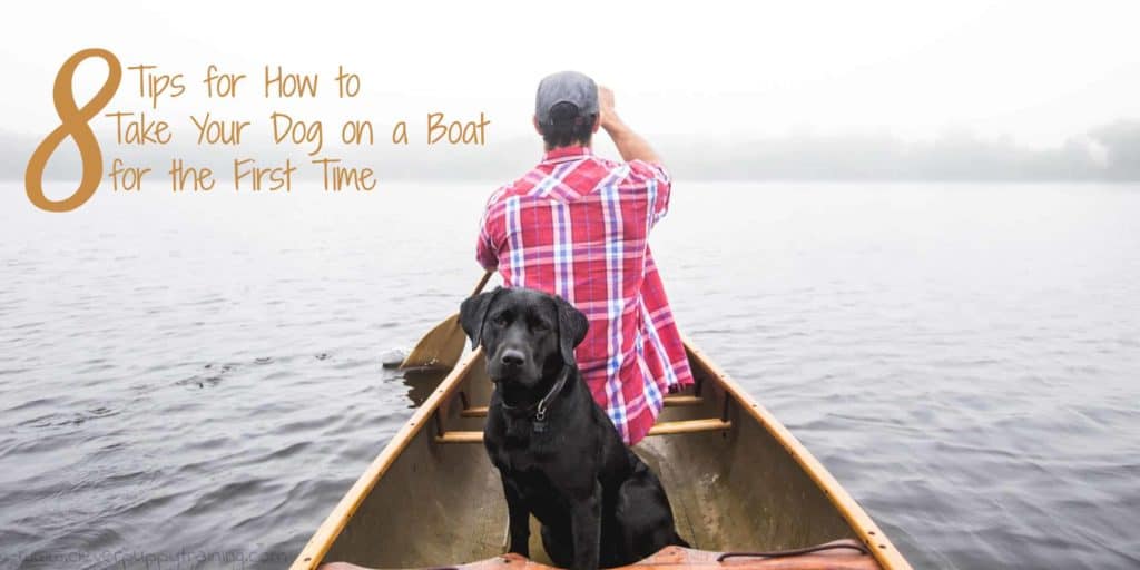 how to get dog on boat