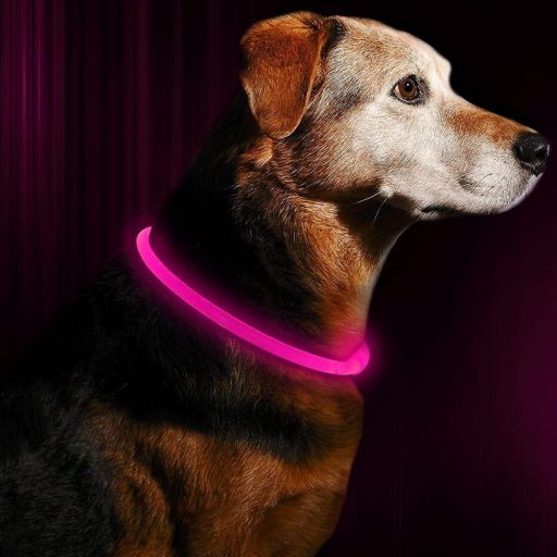 Glowing Pet Dog Collar for Night Safety