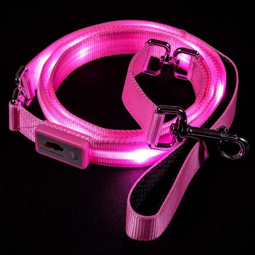 Blazin’ Safety LED Dog Leash