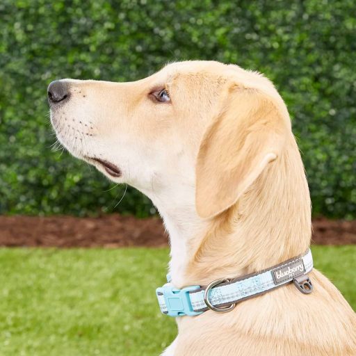 3M Reflective Pastel Color Neoprene Padded Dog Collars