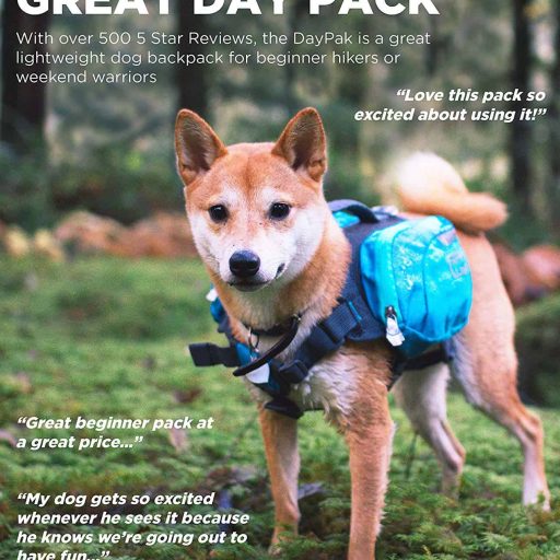 Backpack Hiking Gear For Dogs
