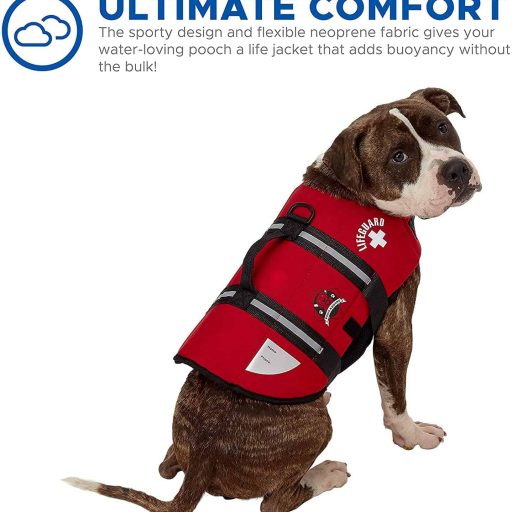 Paws Aboard Dog Life vest for swimming