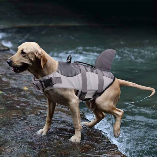 Life Vest for Small Dogs