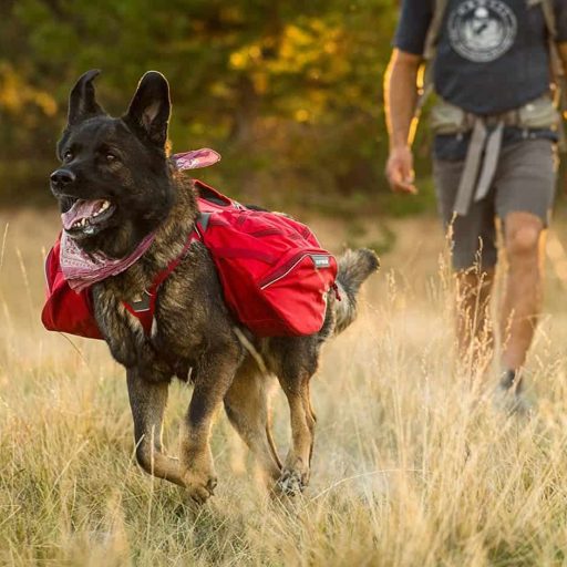 Multi-Day Backcountry Pack for Dogs