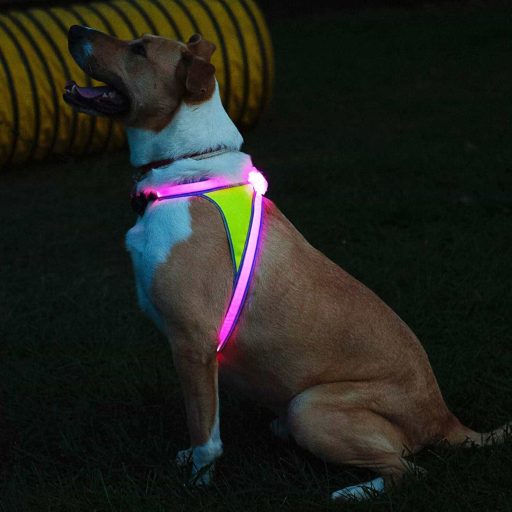 Illuminated and Reflective Harness for Dogs